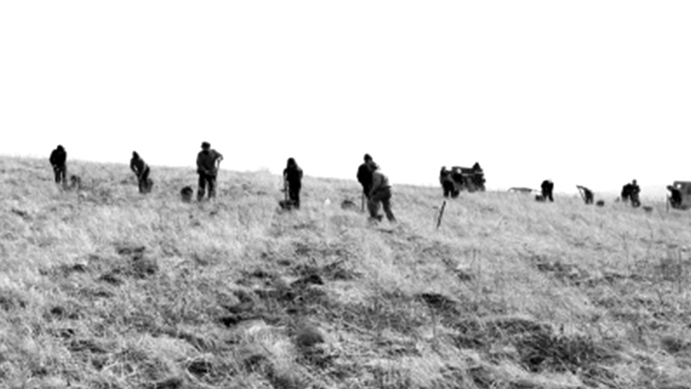 总书记考察的这片松林背后有何故事？